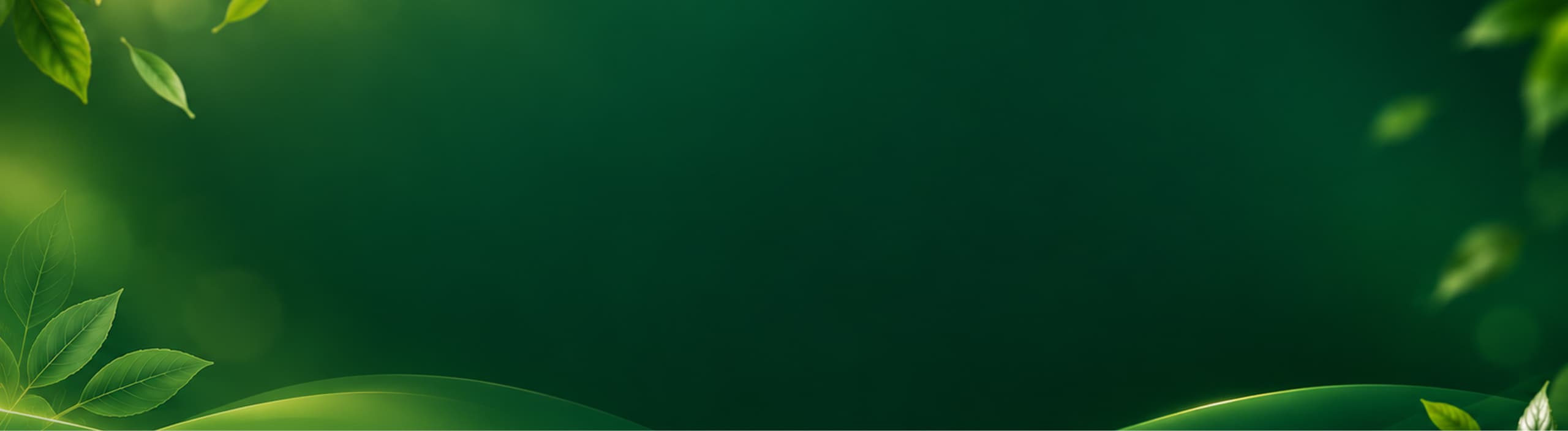Footer Background